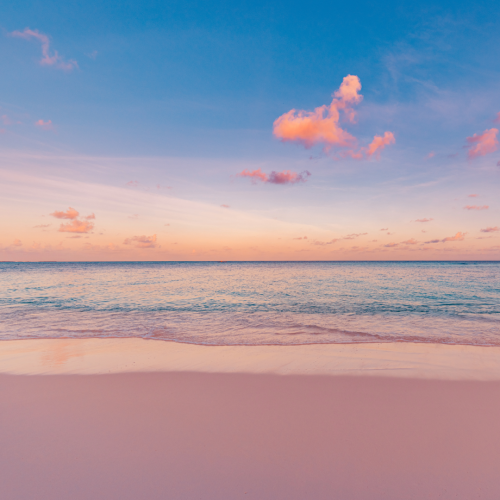 jpblogbanner1